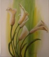 Calla lilies 2